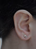 Kora Studs Earrings Ronnie Taubenfeld shown on a woman's ear for size.